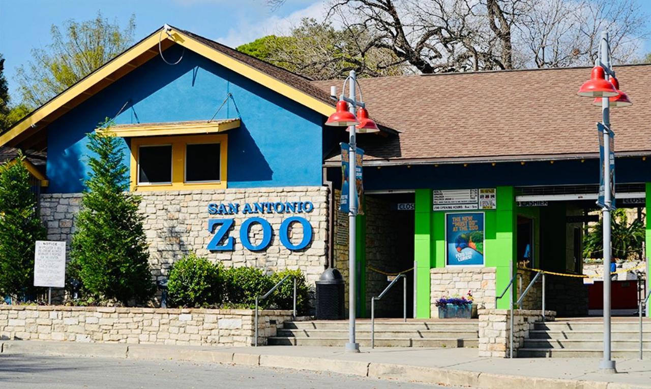 Pershing Place: Historic Home With Heated Spa/Pool By Zoo, Pearl, Golf, Witte San Antonio Eksteriør billede